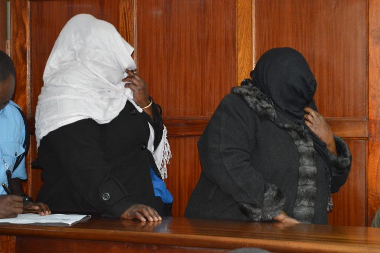 Women charged with conspiracy to defraud Homeland Development Investors Limited land worth Sh 90M
