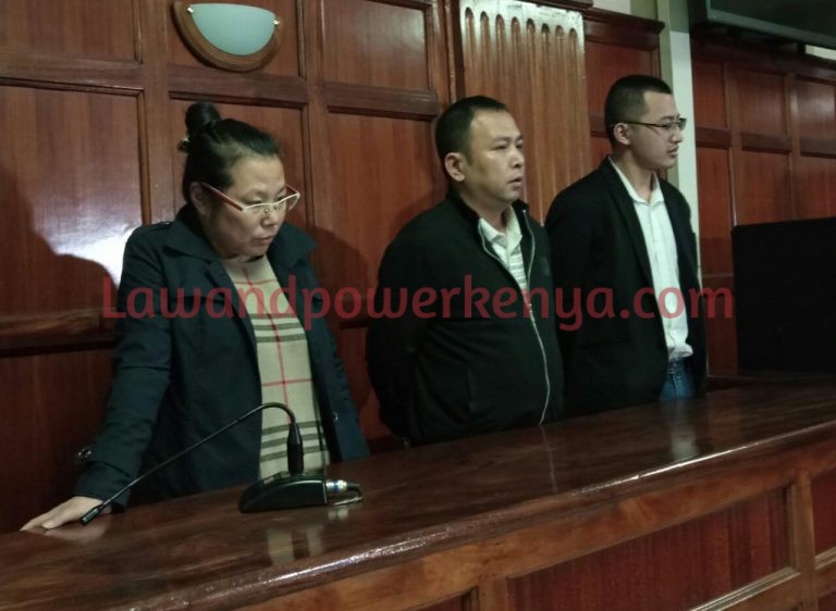 Chinese nationals charged over possession of wildlife trophy among other counts