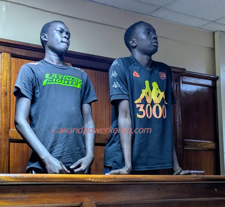 Sudanese brothers charged for allegedly assaulting man at Village Market