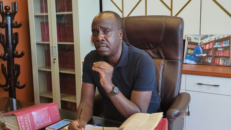 DPP to appeal decision terminating activist Rose Njeri’s charges, Lawyer Omari