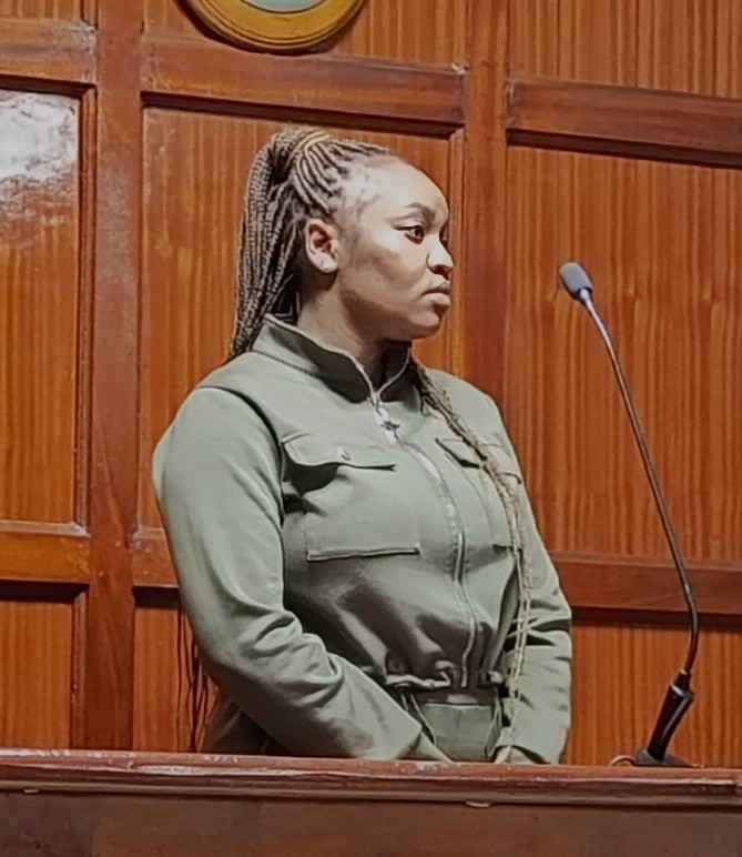 Former African Touch Safaris employee charged with stealing flight tickets worth 4M